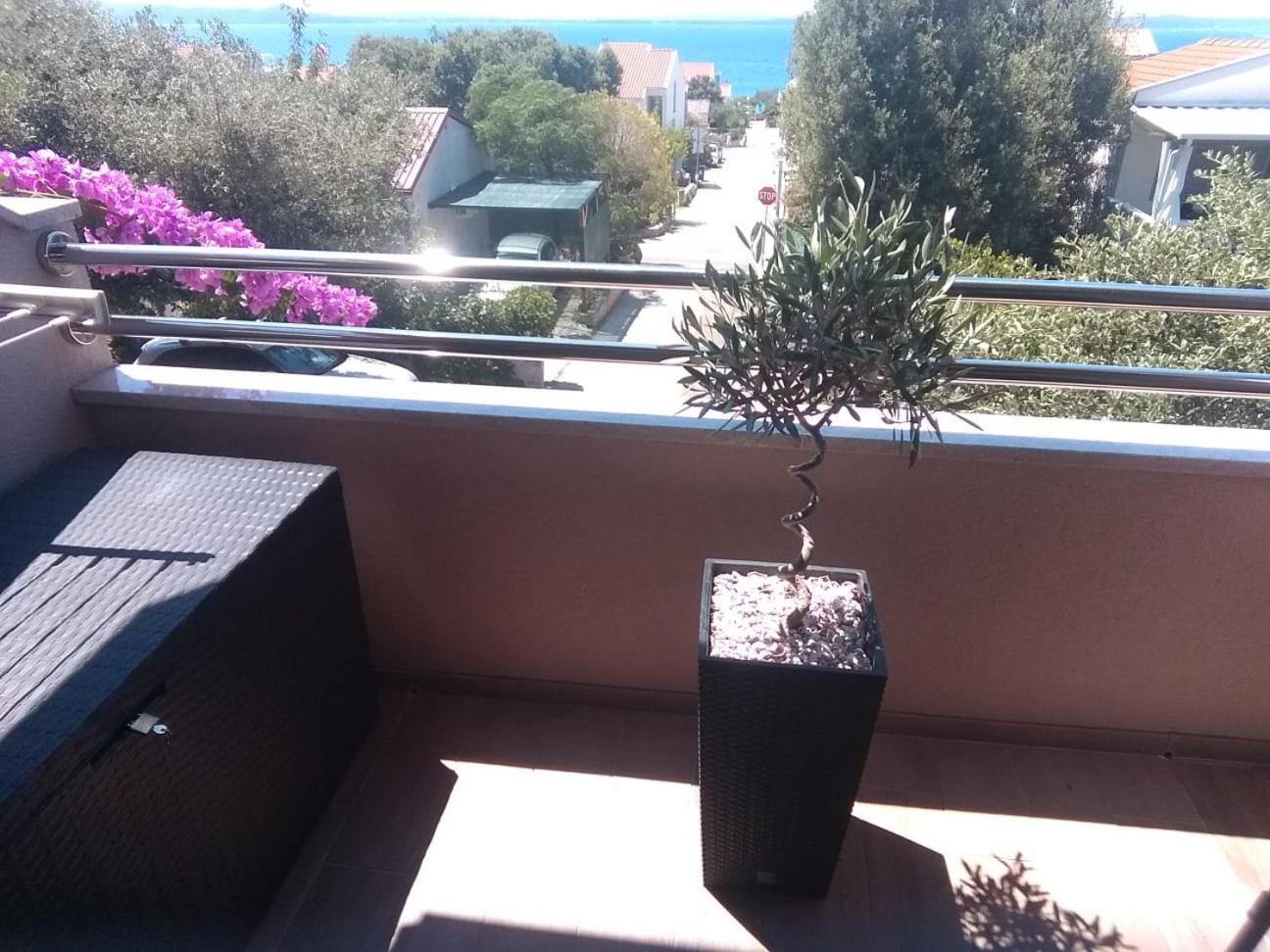 Apartment Vila Nina 佩特坎内 客房 照片